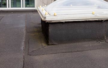 disadvantages of South Holmwood flat roofs