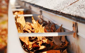 South Holmwood gutter cleaning companies