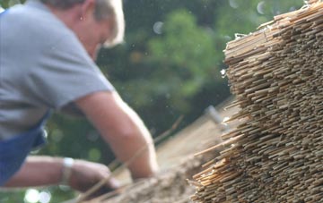 professional South Holmwood thatchers