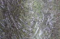 South Holmwood fibreglass roof work